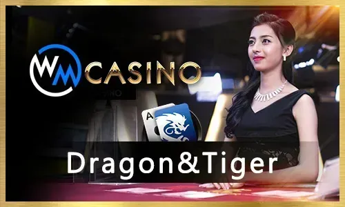 Seamless Gaming Experience